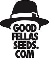 Goodfellas Seeds